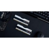 G.Skill Trident Z5 RGB 32 GB DDR5-6800 (2x 16 GB) werkgeheugen Zilver, F5-6800J3445G16GX2-TZ5RS, XMP 3.0