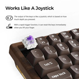 Keychron K2HE All-Wood Special Edition, toetsenbord Houtkleur, US lay-out, Gateron Double-Rail Magnetic Nebula, Gateron Double-Rail Magnetic, 75%, OSA PBT double-shot, hot swap, Bluetooth 5.2 | USB-C