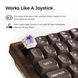 Keychron K2HE All-Wood Special Edition mechanisch toetsenbord Houtkleur, US lay-out (QWERTY), Gateron Double-Rail Magnetic Nebula, 75%, Gateron Double-Rail Magnetic, 75%, OSA PBT double-shot, hot swap, Bluetooth 5.2 | USB-C