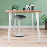 Leitz Ergo Wiebel Zitkruk met Gasveer (47 - 64 cm) stoel Grijs