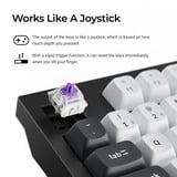 Keychron Q5 HE QMK Wireless Custom Keyboard, toetsenbord Zwart/wit, US lay-out, Gateron Double-Rail Magnetic Nebula, RGB leds, 96%, OSA double-shot PBT, hot swap, Knob, 2.4GHz | Bluetooth 5.1 | USB-C
