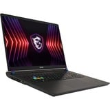 MSI Vector 17 HX A14VIG-877NL 20Y Anniversary bundel 17"  gaming laptop Zwart | Core i9-14900HX | RTX 4090 | 32 GB | 2 TB SSD