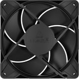 ARCTIC P14 Pro PST case fan Zwart, 5 stuks