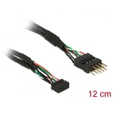 DeLOCK DeLOCK KB USB 2.0 Bu10Pin-St10Pi bk 0,1m kabel Zwart, 12 cm