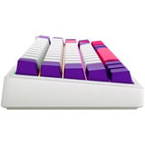 LORGAR KBP70MW RGB mechanisch gaming toetsenbord Wit, US lay-out (QWERTY), LOGAR Toxic Purple, 65%, RGB, Hot-swappable, PBT Double-shot, Bluetooth | 2.4GHz | USB