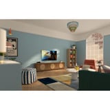 Philips 65PUS7000/12 65" Ultra HD Led-tv Zwart, 3x HDMI, 2x USB, Wi-Fi, Bluetooth 5.2, Audio, TITAN OS