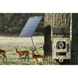 Reolink S130, 4K/8MP 4G LTE wildcamera met Live view en Starlight nachtzicht 