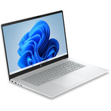 HP OmniBook 3 17-dp0003ndx (E70HGEA) 17.3"  laptop Zilver | Ryzen 3 30 | Radeon 610M | 8 GB | 256 GB SSD