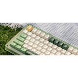 Iqunix ZX75 Camping Wireless Mechanical Keyboard Groen, US lay-out (QWERTY), IQUNIX Moonstone Turbo, 75%, RGB leds, 75%, Hot-swappable, Double-shot PBT, 2.4GHz | Bluetooth 5.1 | USB-C