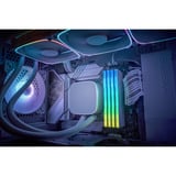 KLEVV CRAS V RGB 32 GB DDR5-6000 (2x 16 GB) werkgeheugen Wit, KD5AGUA80-60A300J, XMP, EXPO