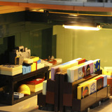 Lumibricks  Constructiespeelgoed 