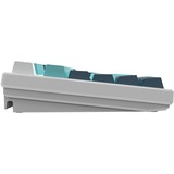 HelloGanss HS108T GC16 RGB mechanisch toetsenbord Wit, US lay-out (QWERTY), Gateron Yellow, 100%, RGB leds, PBT Doubleshot keycaps, hot swap, 2,4 GHz / Bluetooth / USB-C