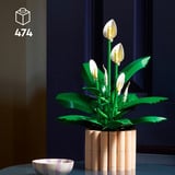 LEGO LEGO 11504 Botanicals TBA Constructiespeelgoed 