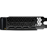 Palit GeForce RTX 5050 Dual 8GB grafische kaart DLSS 4, 3x DisplayPort, 1x HDMI 2.1