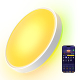 Govee 15-Inch RGBICWW Smart Ceiling Light Pro verlichting Wit, 2,4GHz-wifi + Bluetooth