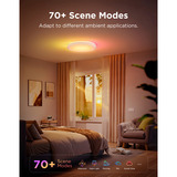 Govee 15-Inch RGBICWW Smart Ceiling Light Pro verlichting Wit, 2,4GHz-wifi + Bluetooth