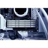 Kingston FURY Beast 32 GB DDR5-5600 (1x 32 GB) werkgeheugen Wit, KF556C36BWE-32, EXPO