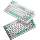 Iqunix OG80 Wormhole Wireless Mechanical Keyboard Grijs, US lay-out (QWERTY), Cherry MX Brown, 80% (TKL)	, RGB leds, Hot-swappable, PBT, 2.4GHz | Bluetooth 5.1 | USB-C
