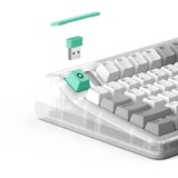 Iqunix OG80 Wormhole Wireless Mechanical Keyboard Grijs, US lay-out (QWERTY), Cherry MX Brown, 80% (TKL)	, RGB leds, Hot-swappable, PBT, 2.4GHz | Bluetooth 5.1 | USB-C