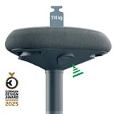 Leitz Ergo Wiebel Zitkruk met Gasveer (47 - 64 cm) stoel Donkergrijs