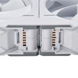 Phanteks D30-120 PWM Regular RGB case fan Wit, 120 x 120 x 30 mm, 3 stuks, 4-pins PWM fan-connector