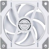 Phanteks D30-120 PWM Regular case fan Wit, 3 stuks, 4-pins PWM fan-connector