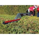 EINHELL Heggenschaar GC-EH 6055/1 Rood/zwart, 600W