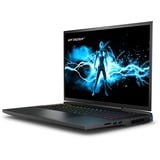 Erazer Beast X40 MD62613 17"  gaming laptop Zwart | i9-14900HX | RTX 4090 | 32 GB | 2x 1 TB SSD