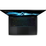 Erazer Beast X40 MD62613 17"  gaming laptop Zwart | i9-14900HX | RTX 4090 | 32 GB | 2x 1 TB SSD