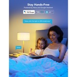 Govee H6009 RGBWW smart LED Bulb led-lamp Wifi, Bluetooth, Dimbaar
