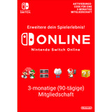 Nintendo  handheld game console 