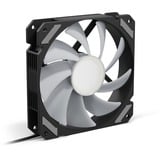 Sharkoon SHARK Mirror RGB PWM case fan Zwart, 4-pin PWM