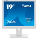 iiyama Prolite B1980D-W5 19" monitor Wit, VGA, DVI