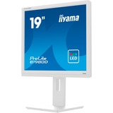 iiyama Prolite B1980D-W5 19" monitor Wit, VGA, DVI