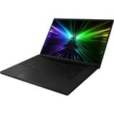 Razer Blade 18 (RZ09-05092EP9-R3E1) 18"  gaming laptop Zwart | i9-14900HX | RTX 4090 | 64 GB | 2x 2 TB SSD