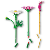 LEGO LEGO 11514 Botanicals Kosmeen Constructiespeelgoed 