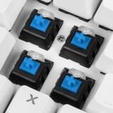 Sharkoon SKILLER SGK3, gaming toetsenbord Wit, US lay-out, Kailh Blue, RGB leds