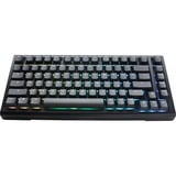 Ducky ProjectD Tinker 75 met QMK/VIA RGB mechanisch toetsenbord Zwart, US lay-out (QWERTY), Cherry MX Blue, 75%, RGB leds, Double-shot PBT, Hot-swappable, Gasket mount