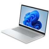 HP OmniBook 3 17-dp0005ndx (E7JV3EA) 17.3"  laptop Zilver | Ryzen 5 40 | Radeon 610M Graphics | 8 GB | 256 GB SSD