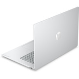 HP OmniBook 3 17-dp0005ndx (E7JV3EA) 17.3"  laptop Zilver | Ryzen 5 40 | Radeon 610M Graphics | 8 GB | 256 GB SSD