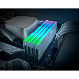 KLEVV 32 GB DDR5-6000 (2x 16 GB) Kit werkgeheugen Wit, KD5AGU880-60A300J, CRAS V RGB, XMP 3.0, EXPO