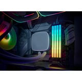 KLEVV 32 GB DDR5-6000 (2x 16 GB) Kit werkgeheugen Wit, KD5AGU880-60A300J, CRAS V RGB, XMP 3.0, EXPO