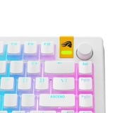 Glorious Aura V3 RGB Keycaps Wit, Pudding-style keycaps, Double Shot PBT, 130 stuks