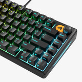 Glorious GMBK 75% RGB mechanisch gaming toetsenbord Zwart, US lay-out (QWERTY), Membraan, 75%, RGB