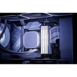 KLEVV 64 GB DDR5-6000 (2x 32 GB) Kit werkgeheugen Wit, KD5BGUA80-60A300J, CRAS V RGB, XMP 3.0, EXPO