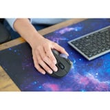 Kensington KB435 EQ Rechargeable Multi-Device Compact Keyboard Grijs, US-International lay-out (QWERTY), Scissor switches, 80% (TKL), USB, 2,4 GHz, Bluetooth 5.4