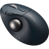 Kensington Pro Fit Ergo TB550 Trackball Zwart, 400 - 1600 DPI, Bluetooth, 2.4 GHz