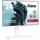 iiyama G-Master Red Eagle GB2470HSU-W6 24" gaming monitor Wit, HDMI, DisplayPort, USB, Audio