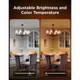 Govee Slimme, dimbare E14 ledlampen (2-pack) 2.4GHz Wi-Fi + Bluetooth
