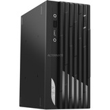 MSI PRO DP20Z 5M-005EU pc-systeem Zwart, 256GB SSD, LAN, WLAN, Windows 10 Home